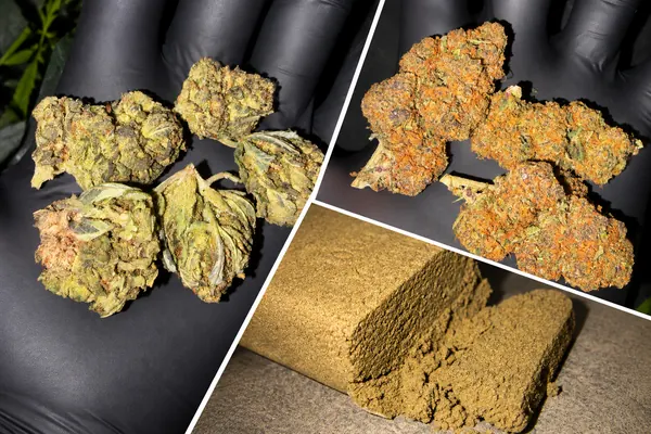 Fleurs et résines CBD et CBN Highkana
