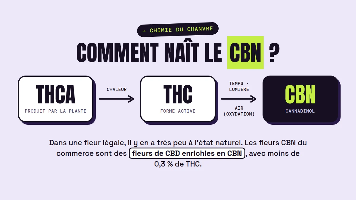 cbn avis