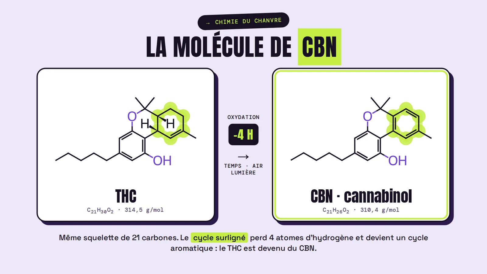 cbn c'est quoi