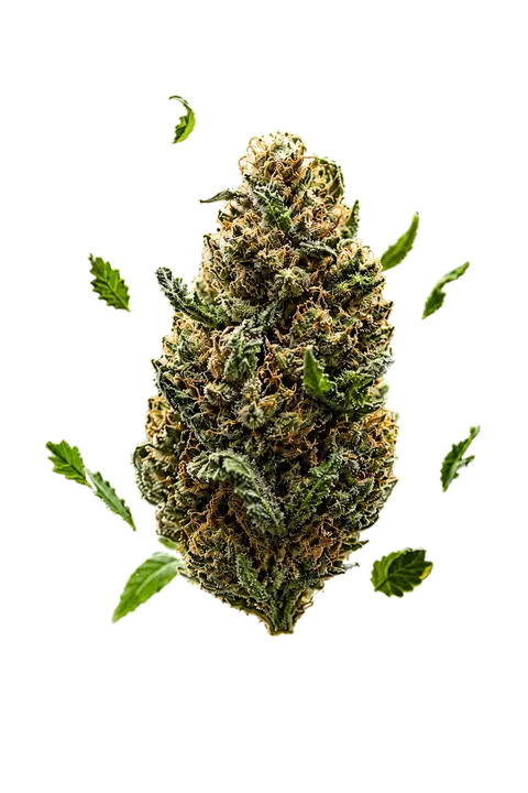 Fleur CBD HIGHKANA
