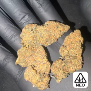 Lemon orange thcx – Highkana