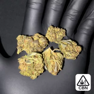 cheese cbn – Highkana