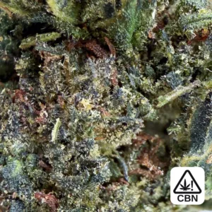 cheese cbn – Highkana