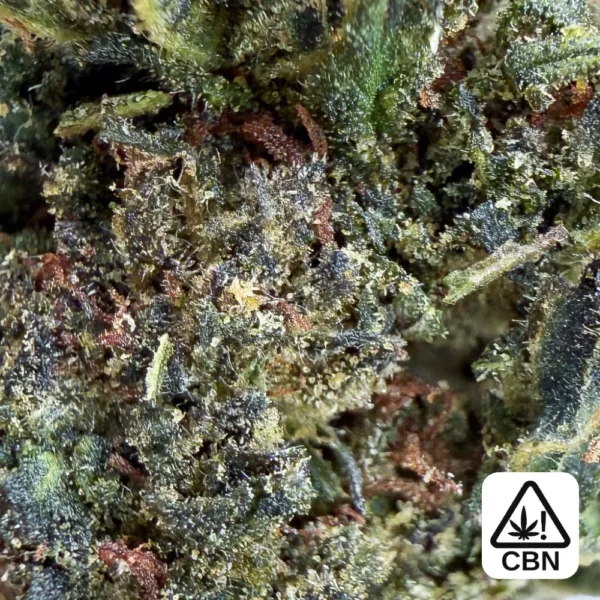 Cheese CBN 30% gros plan
