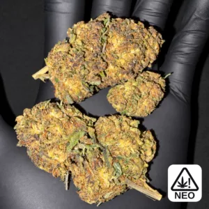 purple kush thcx – Highkana