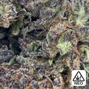 purple kush thcx – Highkana
