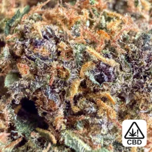 purple lemonade cbd – Highkana