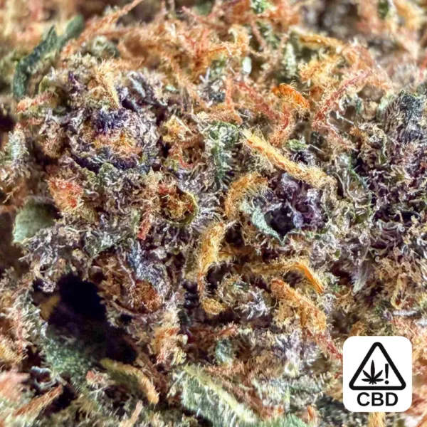 Purple Lemonade gros plan