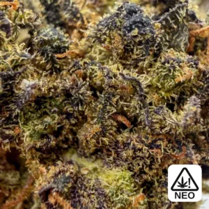 Purple haze thcx – Highkana